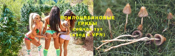кокс Богородицк
