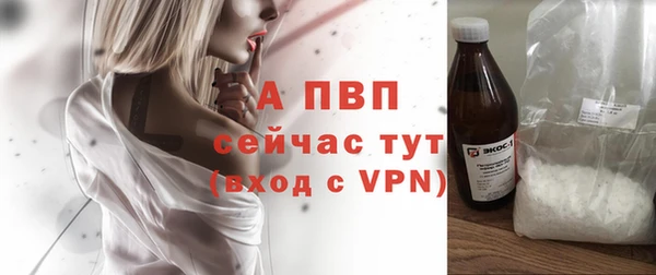 кокс Богородицк