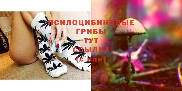 марки nbome Богданович