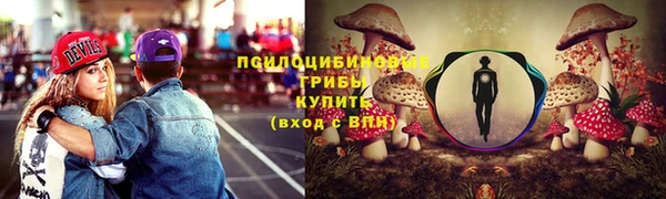 кокс Богородицк