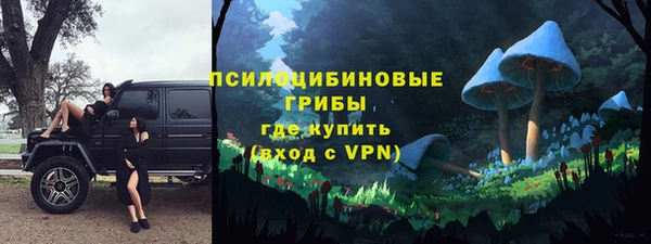кокс Богородицк