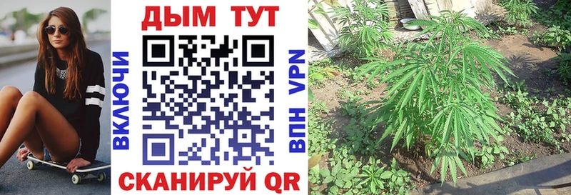 что такое   Няндома  Бошки Шишки гибрид 